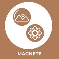 Magnete/ Magnetlesezeichen