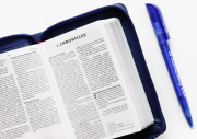 Bibel englisch NIV blau mit RV TA