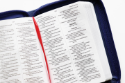 Bibel englisch NIV blau mit RV TA