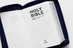 Bibel englisch NIV blau mit RV TA