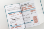 Die Neue Induktive Studienbibel - Schlachter