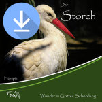 Der Storch (mp3-Download)