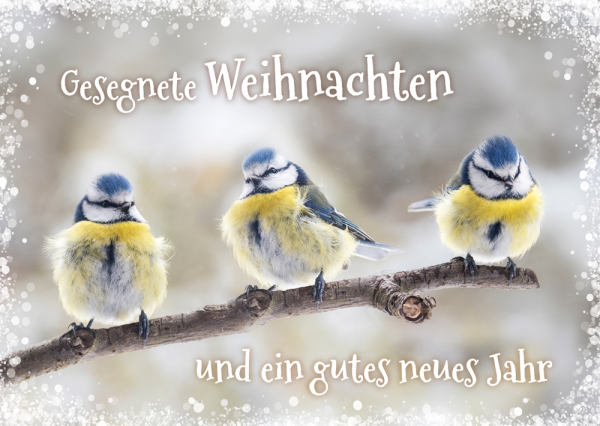 Postkarte Gesegnete Weihnachten