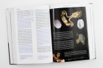 Elberfelder Bibel mit Erklärungen