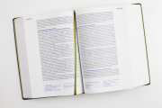 Elberfelder Studienbibel, Kunstleder, mit Sprachschlüssel und Handkonkordanz