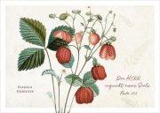 Postkarte Psalm 23 - Erdbeeren