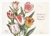 Postkarte Christus ist mein Leben - Tulpen