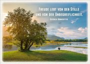 Postkarte Freude lebt von der Stille - Baum am See