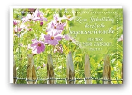 Midikärtchen Geburtstag Wiese und Zaun