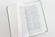 Schlachter 2000 - Taschenausgabe - PU-Einband, oliv