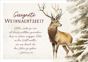 Postkarte Gesegnete Weihnachtszeit/Hirsch