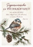Postkarte Vogel auf Zweig
