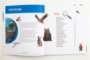 Gut zu wissen - Tiere der Bibel