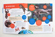 Gut zu wissen - Tiere der Bibel
