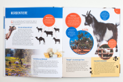 Gut zu wissen - Tiere der Bibel