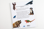Gut zu wissen - Tiere der Bibel