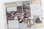 Dinosaurier und die Bibel