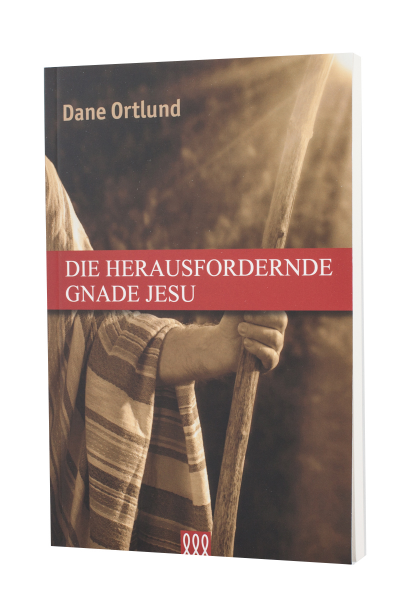 Die herausfordernde Gnade Jesu