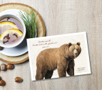 Postkarte Braunbär