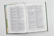 Schlachter 2000 Bibel – Standardausgabe (Duoleinen braun/khaki, fester Einband)