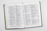 Schlachter 2000 Bibel – Standardausgabe (Duoleinen braun/khaki, fester Einband)