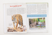 Wie viele Tiere waren in der Arche?