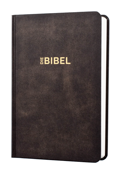 Schlachter 2000 Bibel - Taschenausgabe (Hardcover, illustrierter Einband, Antikleder-Optik)