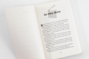 Der Anschlag auf das Filmprojekt (8) Band 8
