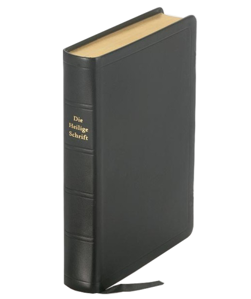 Elberfelder Übersetzung - Taschenbibel, größere Ausgabe, Leder, Goldschnitt